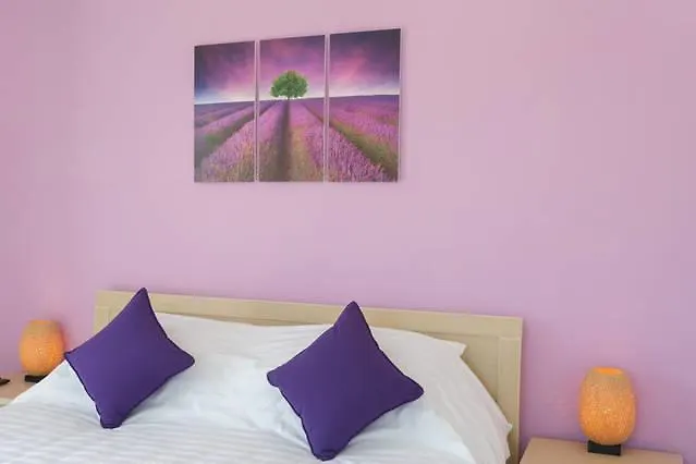 Rice Field Homestay Χόι Αν
